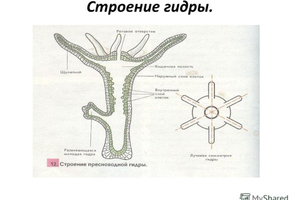 Kraken ссылка kraken link24 info