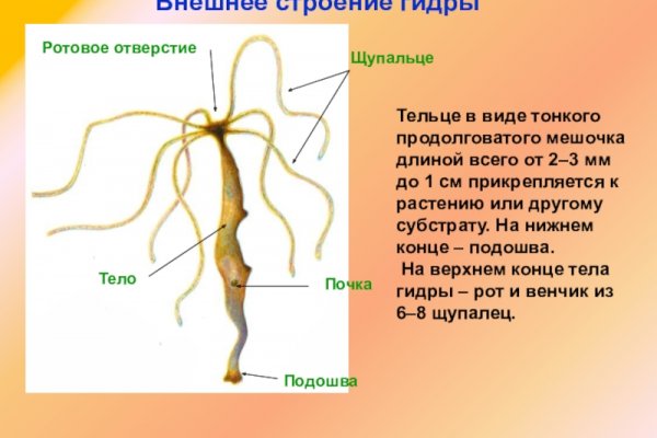 Зайти на кракен без тора