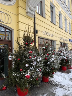 LOOK UP Cafe&Shop: Оазис вдохновения на Садовнической