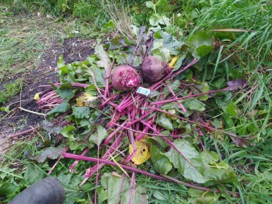 ������ "������� ���": ����� ������� ����� �����������