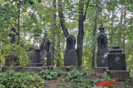 ����� � ��������: ���� � ����������