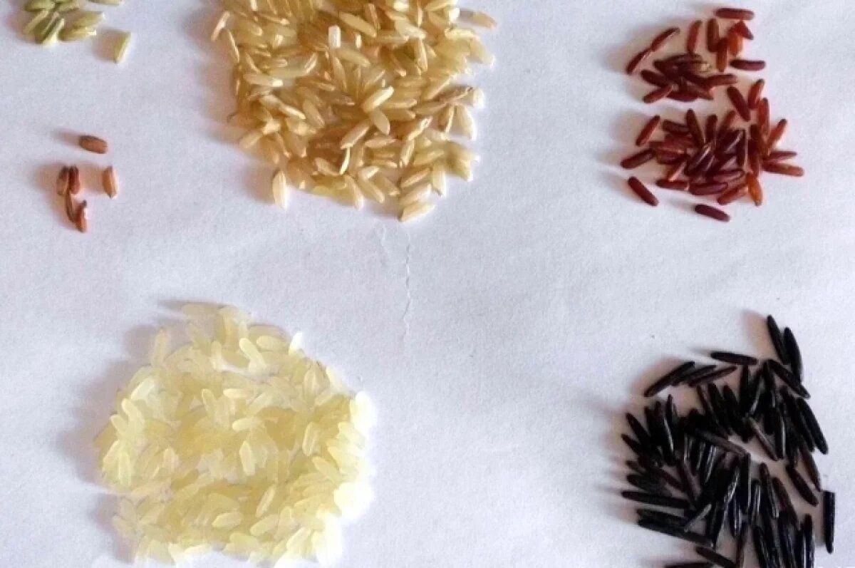 Как выбрать рис: секреты здоровье и вкуса