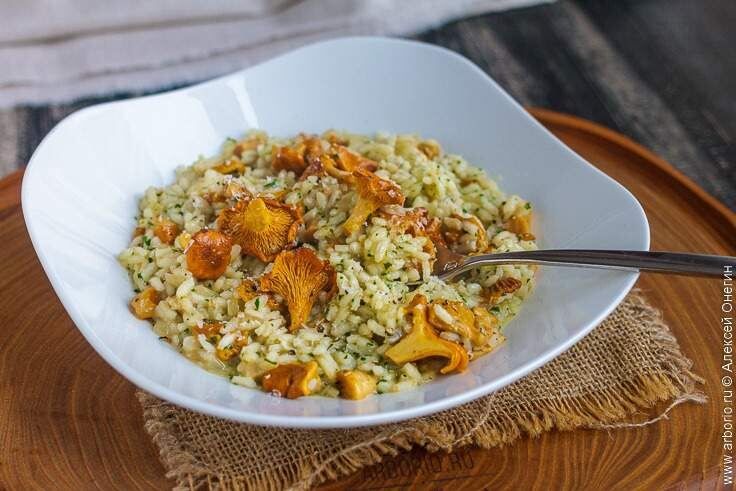 Десять простых и вкусных блюд из грибов для любого стола