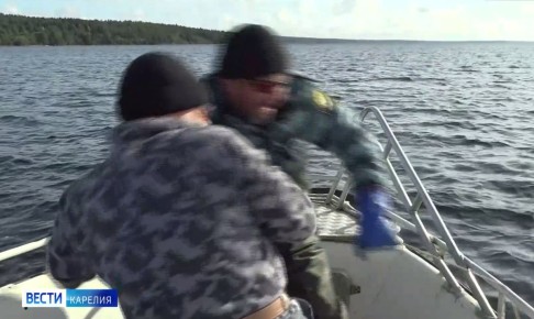 Сохранение онежского лосося: правда и мифы журналистов