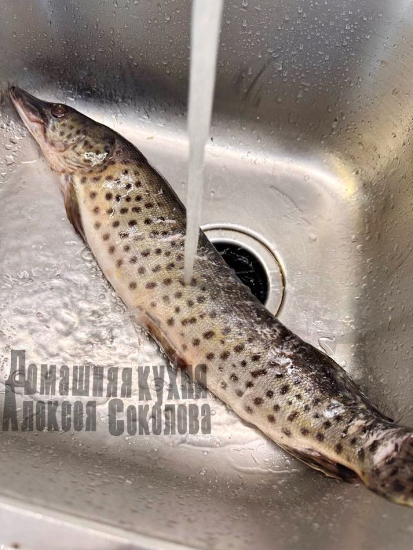 ������ ������� �� ���� � ����������� ������� ����