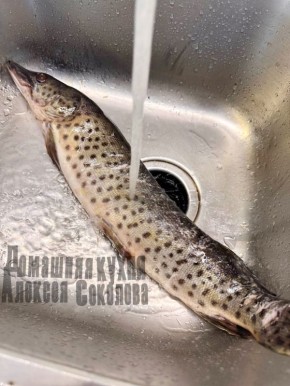 Нежные котлеты из щуки с добавлением свиного сала