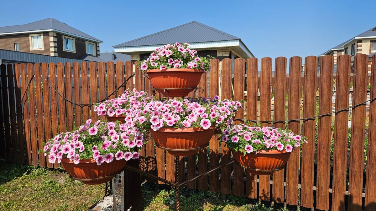 Удивительная ранняя красота сада на старте лета и почему он работает именно так