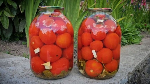 ������� �������� �� ����: ���� � ������� ��� ������������