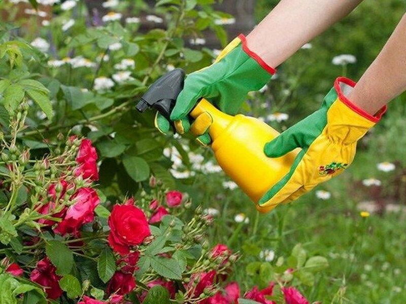 ��� �������� ���� �� �������� ������ � ������� ��������� ��������