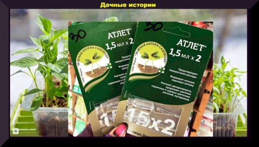 ��� ������ �������� ������� ����� ������: ������� ��������� �����