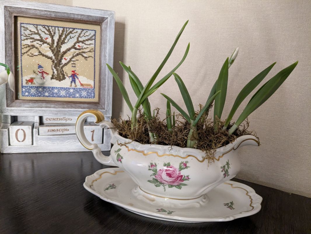 Сказка оживает: подснежник на низком старте и валенки из кошачьей шерсти