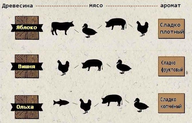 Искусство копчения: как выбор щепы влияет на вкус мяса