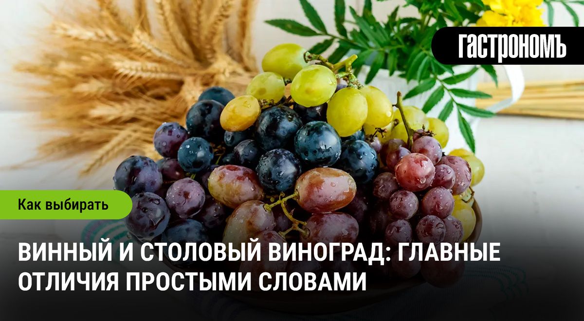 ������ � �������� ��������: �������� �������