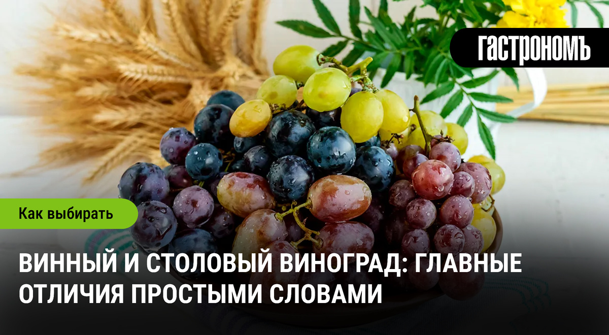Винный и столовый виноград: ключевые отличия