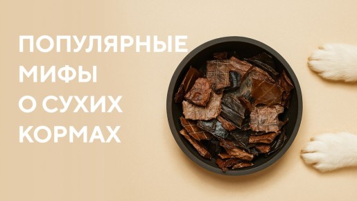 ���� � ����� ������: ����������� ���������� �����������