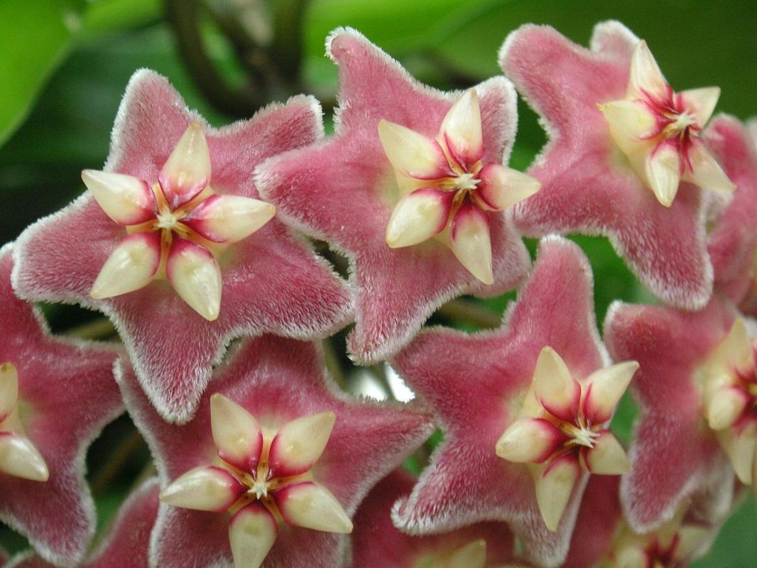 ������������� ����: ��������� ������� ��� �������� � ���� �������� ��������