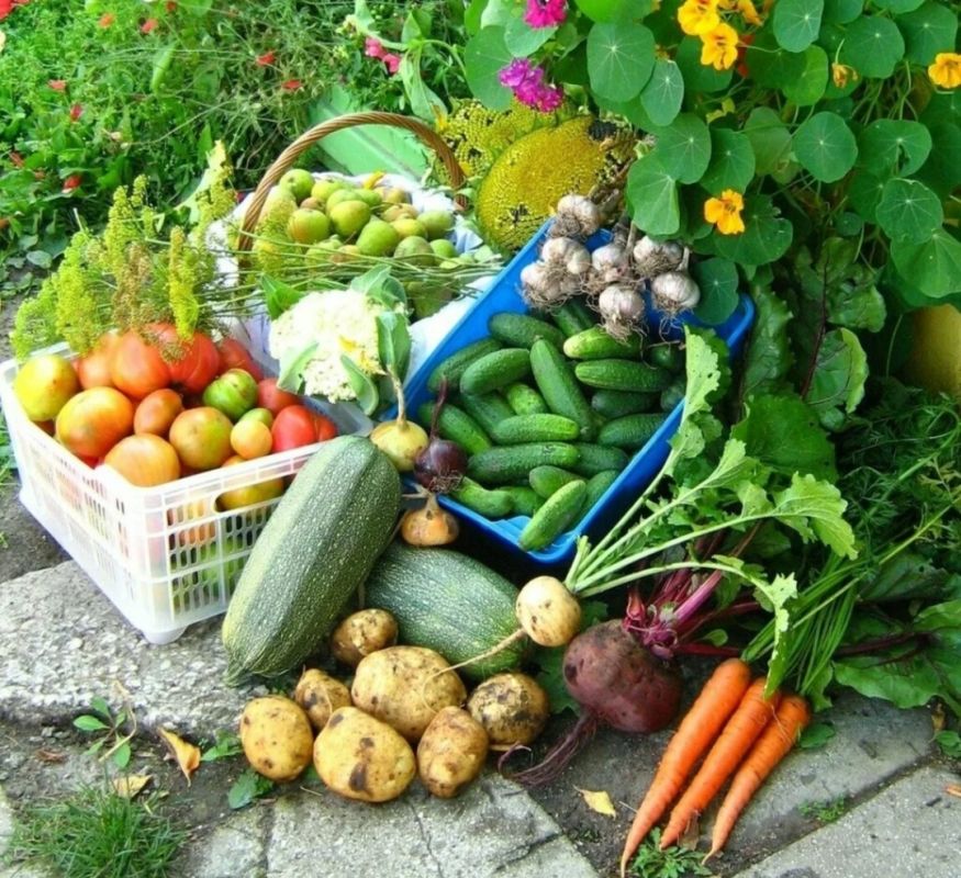 ������� ������: ��� ����������� ��������� ����� ��� �������?