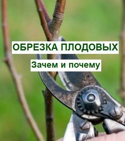 ��� ��������� �������� �������� ������� � ����������