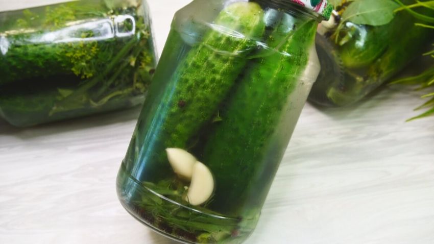 Как заготовить хрустящие огурцы на зиму в холодном способе