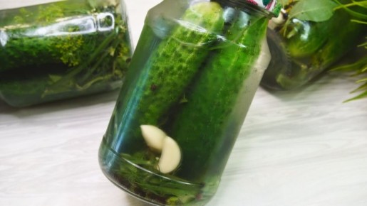 Как заготовить хрустящие огурцы на зиму в холодном способе