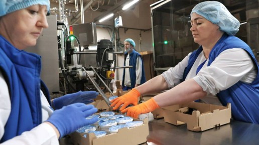 ���� �� �������� ��������� ��������: ������� � ����