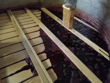 Погружение шапки: древний метод виноделия из Пьемонта