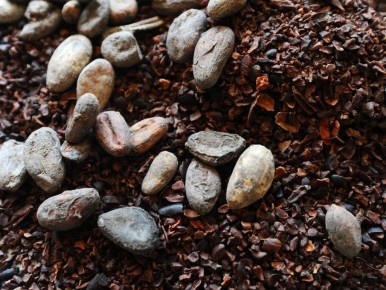 ���� �� �����-���� ������ ���� 4300 �������� �� ����� ������� �� ��� ����