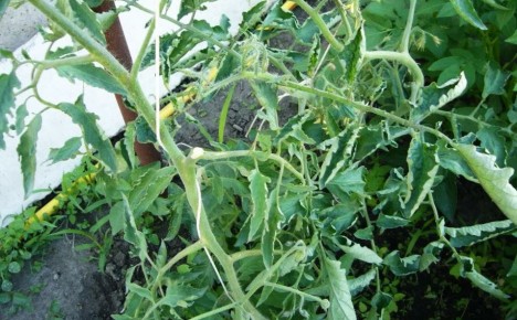 ��������� � ����������: ��� ���������� � �������� �����