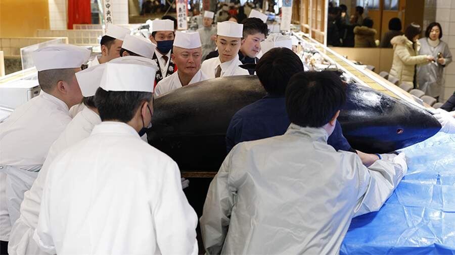 � ����� ������ ������� ����� �� ��������� 255 ��������� ������