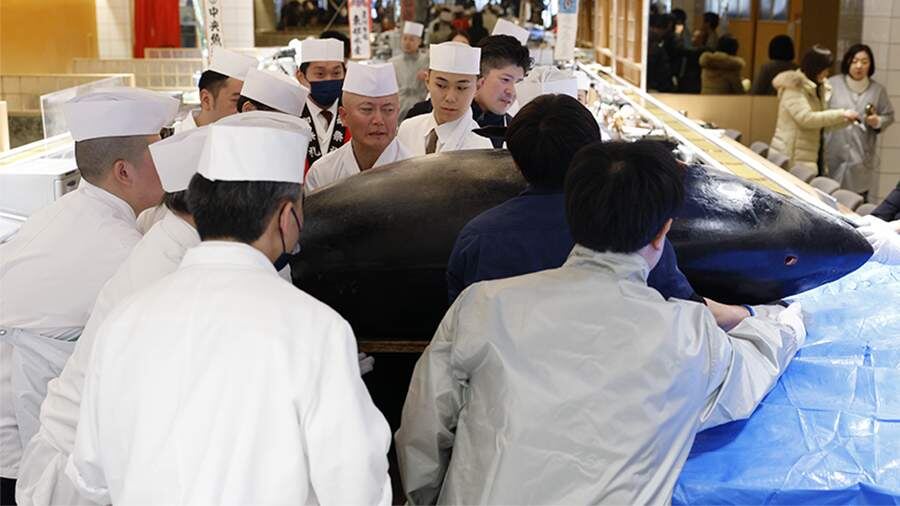 В Токио продан голубой тунец за рекордные 255 миллионов рублей