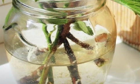 ���������� �������� � ������� �������: ������� � ����������� ������