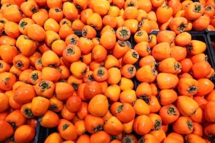 ��� ������, ���� � ����� �������� �������� ��������