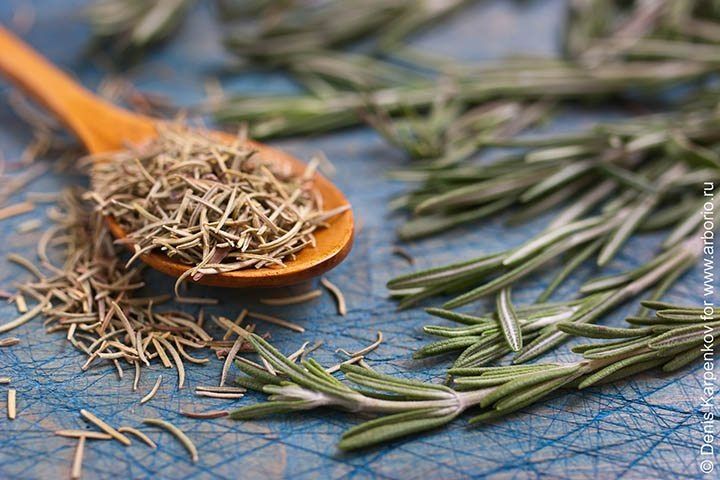 ��������: ������������ ����� � ������������ �����