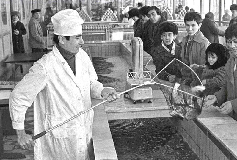 ���� �� ���������� �������: ������ ������ �� �� ������� �� ��� ����