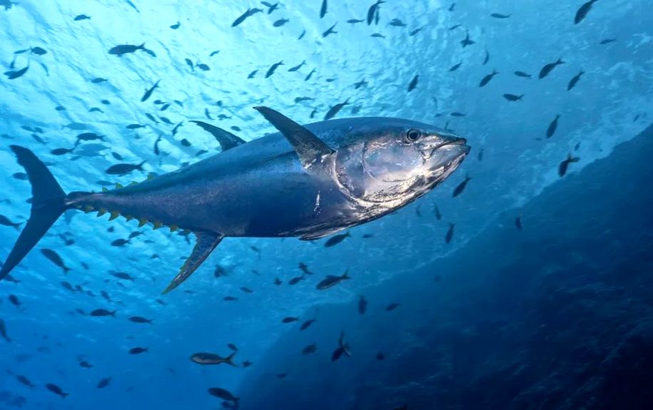 �����: ����������� ��������� ������ �� ����� �����