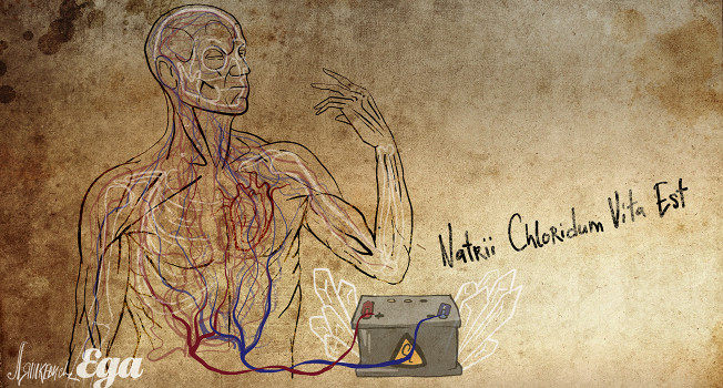 Почему натрий и хлор жизненно необходимы для человека?