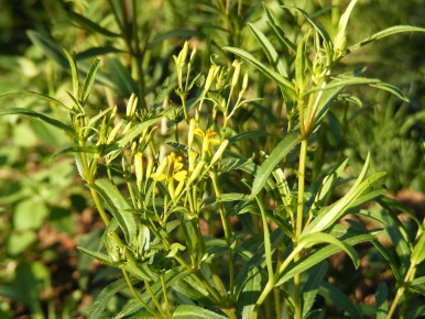 ��������: ������ ��������� � ������� ��������� ����������