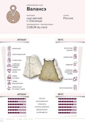 Сыры с белой плесенью: открываем новые вкусы