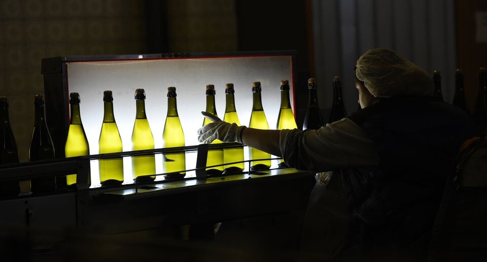 Как искусственный интеллект научил семиклассника винному этикету вместо литературы