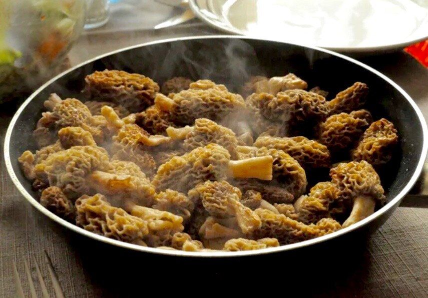 ����� ����� ��������: ������ ���������, ������� ����� �����������