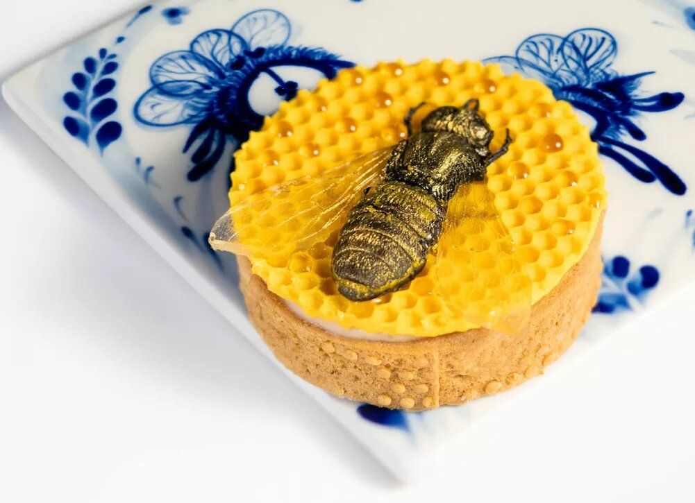 ��������� ���������������� ����, ������� ����� ����������� � ������