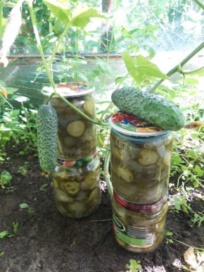 Как запасти летние вкусы: простой салат из огурцов и лука на зиму