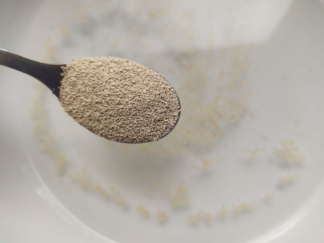 ����-����������� �� ���� �����: �� ������� �� ��������