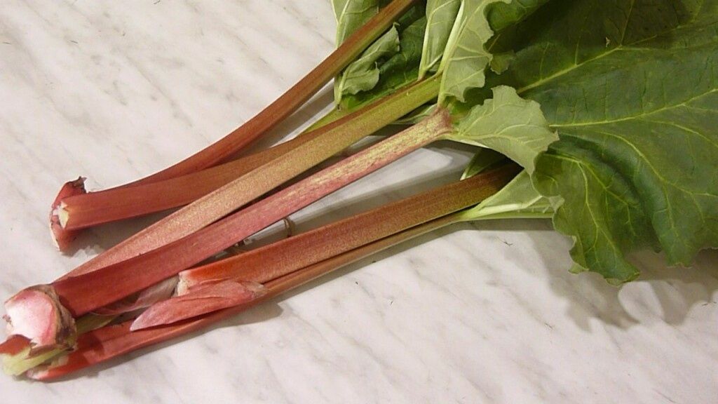 ������ � ���������: ������� ������� � ������� ���������