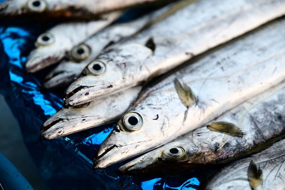 ����������� �������� �����: �������� ����������� ��� �������