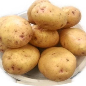 Картофель Утро: в чем секрет его успеха и универсальности