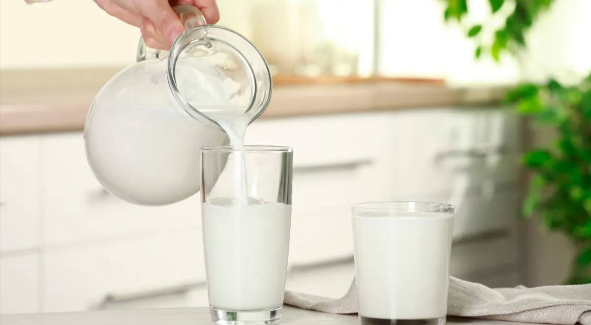 Удивительные источники кальция: 7 продуктов, которые превосходят молоко