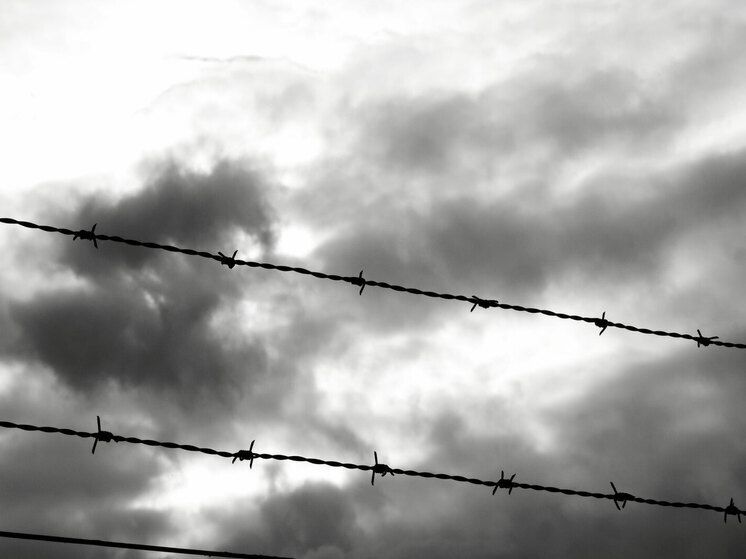 ���� � ����������� ������: �������� � ����� �������� 2,5 ���� �������