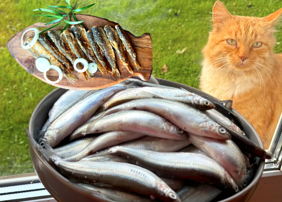 Ряпушка: кулинарный шедевр из простоты