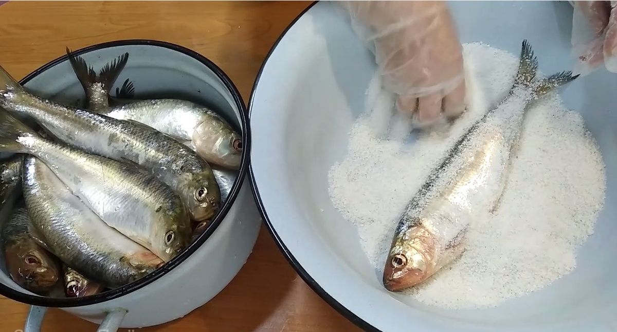 �������� ������� ������: �������� ��������� �� ����